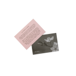 Cherry Blossom Latte Kit - Image 3