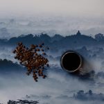 Sumatra Kerinci Solok Radjo Wet Hulled - Image 3